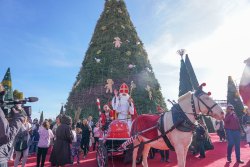 Saint Nicolas annonce Noël