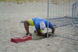 Une tortue marine a pondu sur la plage du Barcarès