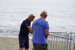 Une tortue marine a pondu sur la plage du Barcarès