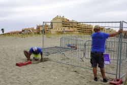 Une tortue marine a pondu sur la plage du Barcarès