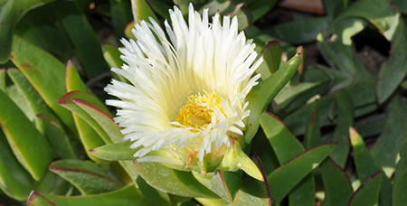 espaces_naturels_art_1