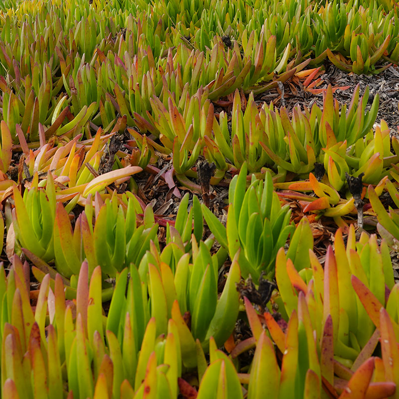 espaces_naturels_mobile