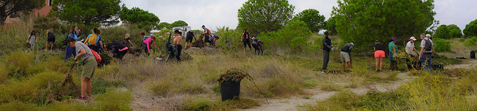 espaces_naturels_small