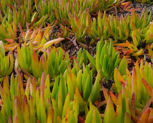 espaces_naturels_une