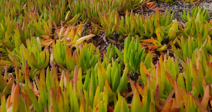 espaces_naturels_une