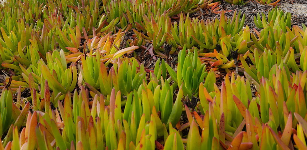 espaces_naturels_une