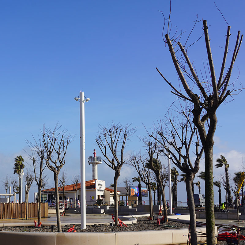 pl_rep_arbres_mobile