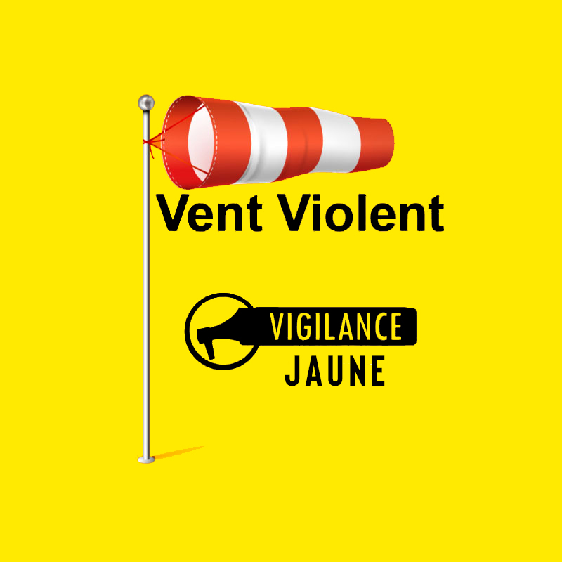 alerte_jaune_fevrier_mobile