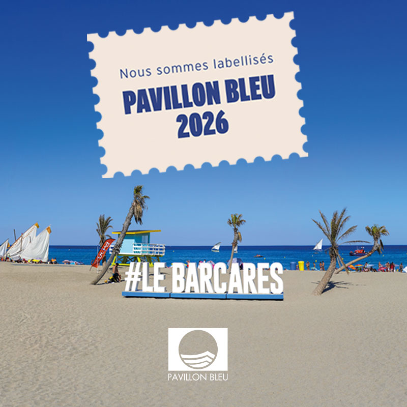 PavillonBleu_mobile