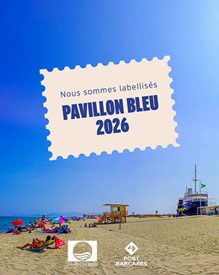 pavillon_bleu_small