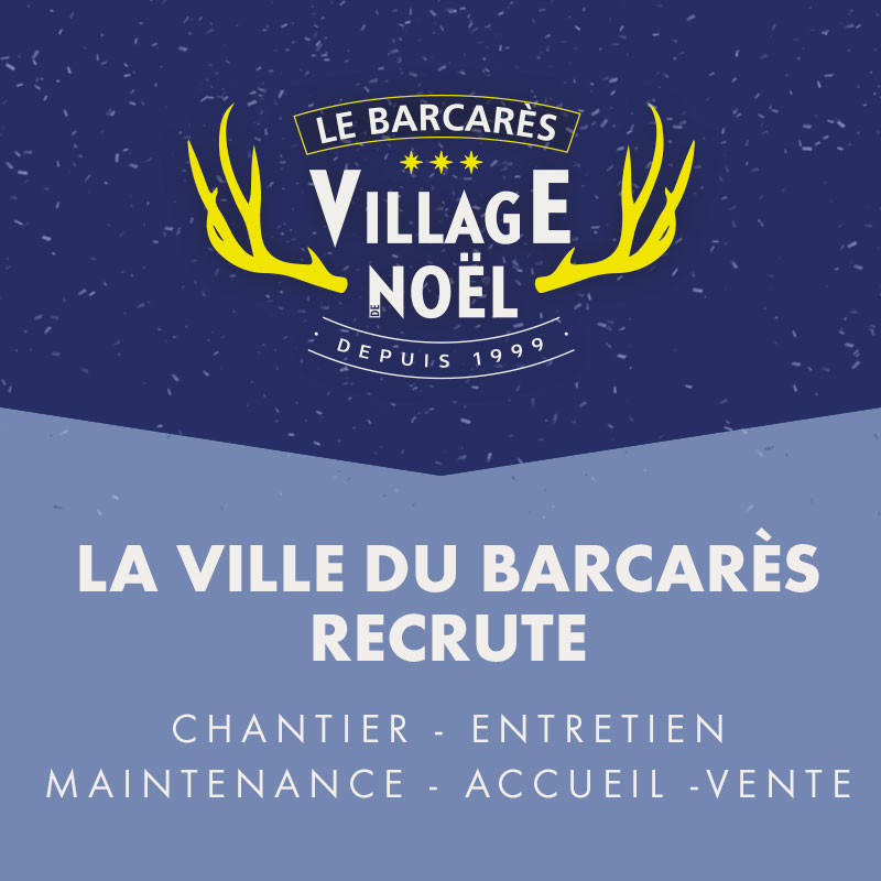 VNB_2026_recrutement_mobile