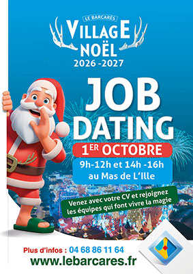 aff_VNB_job_dating_small
