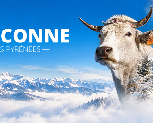 gasconne_une
