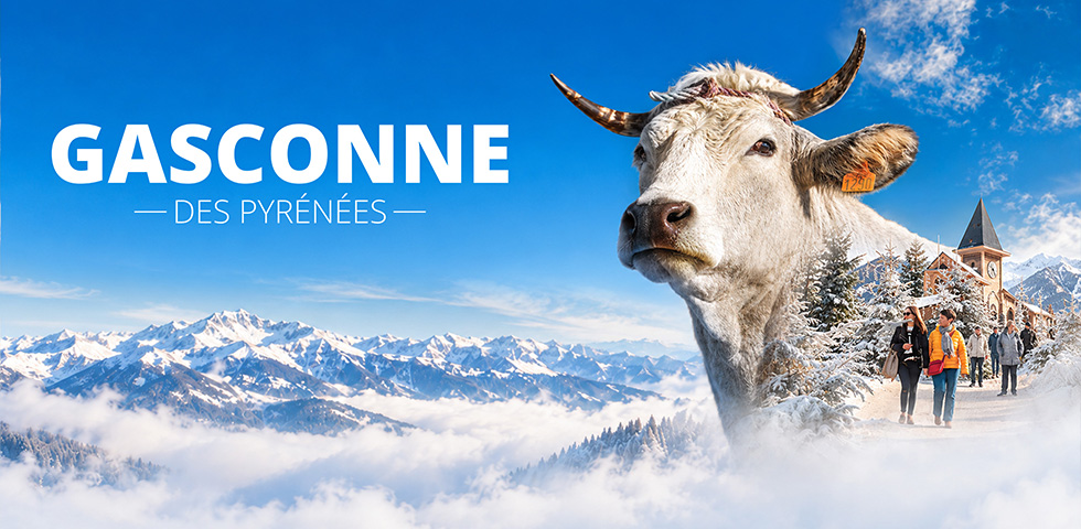gasconne_une