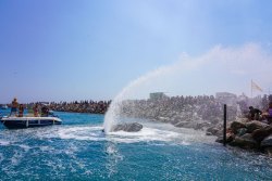 Fête des Pêcheurs : une journée exceptionnelle
