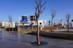 Plantations d’arbres au coeur du Barcarès