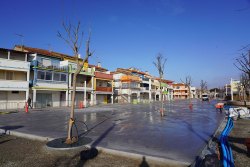 Plantations d’arbres au coeur du Barcarès