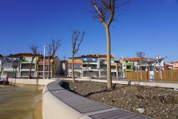 Plantations d’arbres au coeur du Barcarès