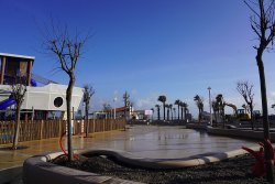 Plantations d’arbres au coeur du Barcarès