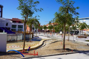 Plantations d’arbres au coeur du Barcarès