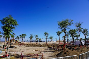 Plantations d’arbres au coeur du Barcarès