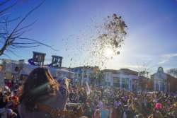 Les Merveilles du Carnaval
