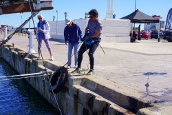 Près de 500 kilos de déchets remontés du port de plaisance