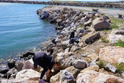Près de 500 kilos de déchets remontés du port de plaisance