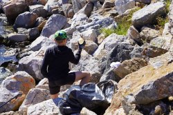 Près de 500 kilos de déchets remontés du port de plaisance