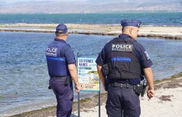 Protection des sternes naines Une mobilisation collective au Barcarès