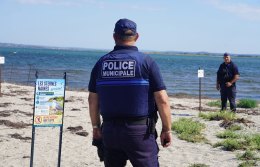 Protection des sternes naines Une mobilisation collective au Barcarès