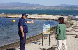 Protection des sternes naines Une mobilisation collective au Barcarès