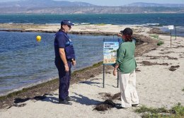 Protection des sternes naines Une mobilisation collective au Barcarès