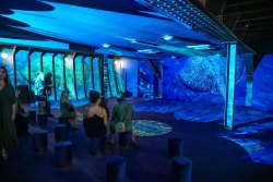 Trésors des Mers : vernissage d’une exposition immersive à bord du Lydia