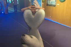 Trésors des Mers : vernissage d’une exposition immersive à bord du Lydia